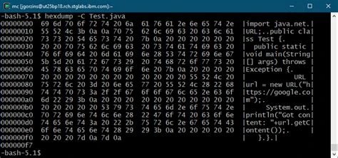side-by-side comparison of the same short binary data shown as a hex string and a base64 string