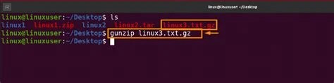 terminal window showing a command pipeline that decodes base64 then pipes the output into gunzip