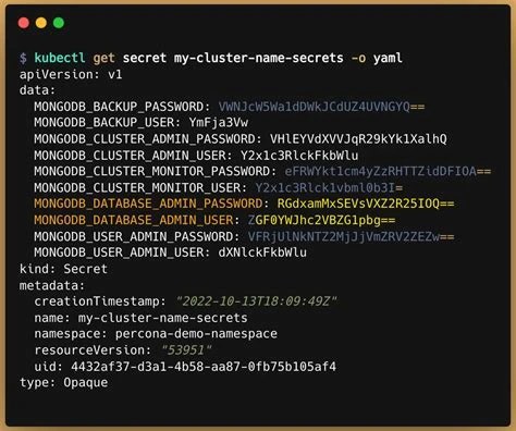 terminal window showing a kubectl get secret output in YAML with base64-encoded data field values