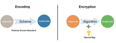 Base64 Is Not Encryption: Key Differences