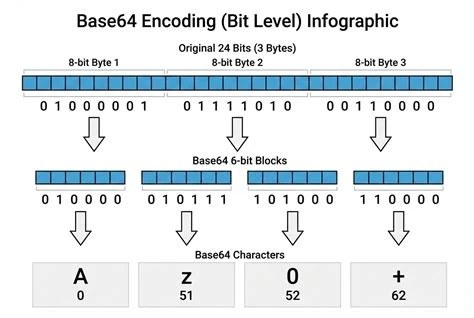 Diagram showing raw binary data entering a base64 encoder, producing a base64 ASCII string, which then enters a base64 decoder to produce the original raw binary data output.