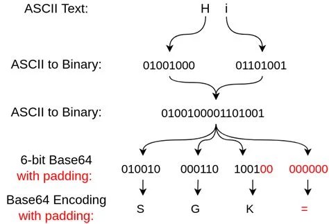 close-up of a Base64 encoded string ending in == padding characters highlighted in a text editor